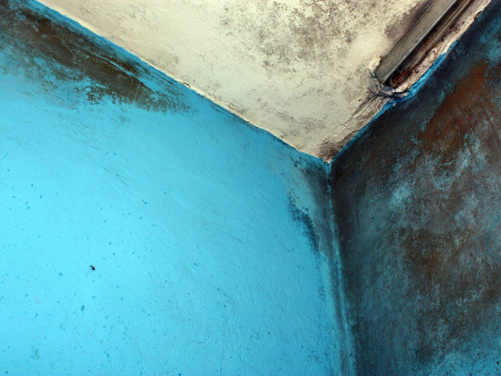 Étanchéité des sanitaires (douche et baignoire) : normes, risques et solutions