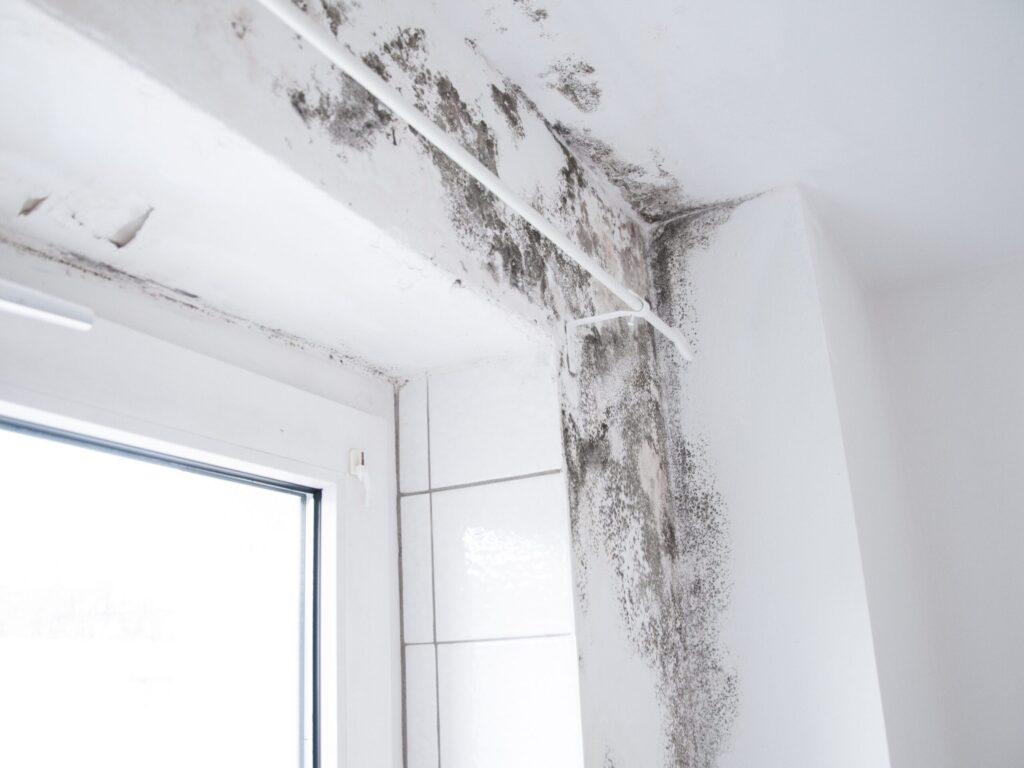 Etanchéité des sanitaires : risques et solutions